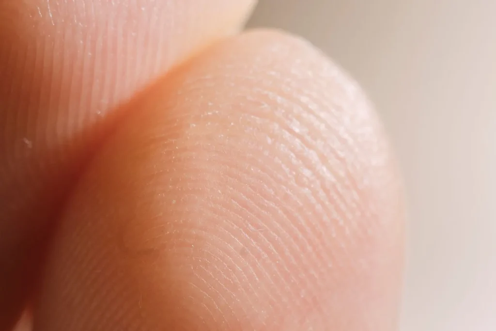 Fingertip ridge patterns captured for FDLE Live Scan submission